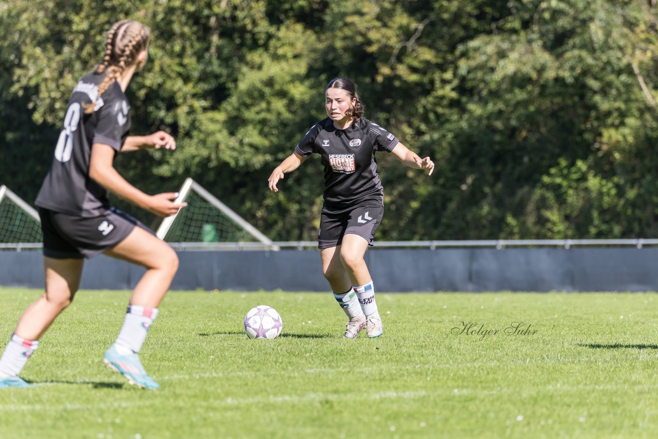 Bild 299 - wBJ SV Henstedt Ulzburg - FSG Oldendorf Itzehoe : Ergebnis: 2:5